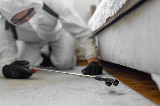Professional Termite Control technician working in Baden, PA